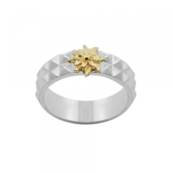 Anillo Aiora Plata Dorado*Eguzkilore Sale