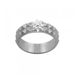 Anillo Aiora Rutenio Plata*Eguzkilore Best