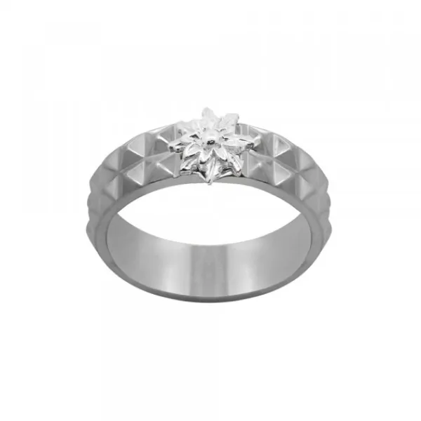 Anillo Aiora Rutenio Plata*Eguzkilore Best