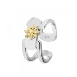 Anillo Bayona Plata y Dorado*Eguzkilore New
