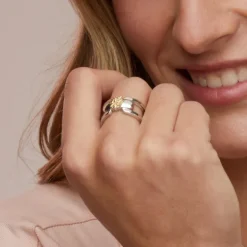 Anillo Bayona Plata y Dorado*Eguzkilore New