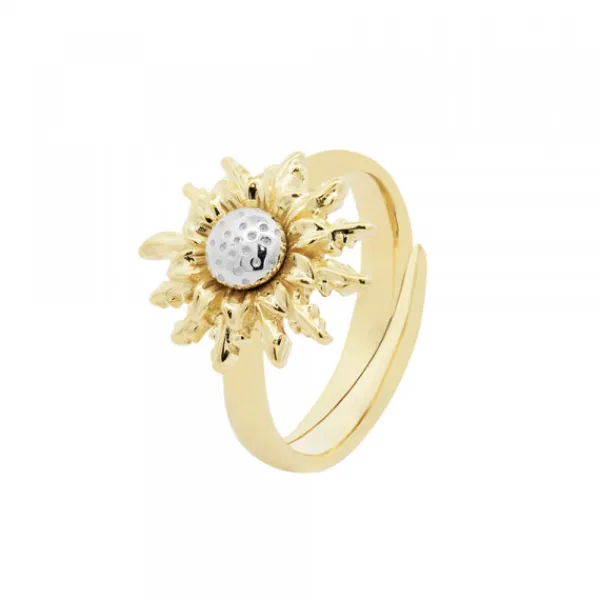 Anillo de Plata Dorada Bicolor*Eguzkilore