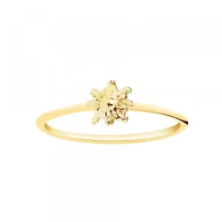 Anillo Fino Oro 18kt.*Eguzkilore Hot