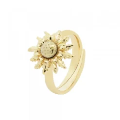 Anillo Plata Dorada Ajustable*Eguzkilore Sale
