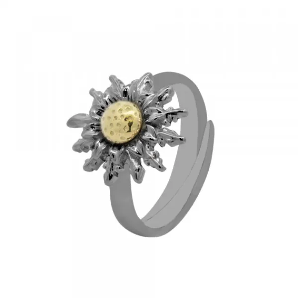 Anillo Rutenio Bicolor Ajustable*Eguzkilore Online