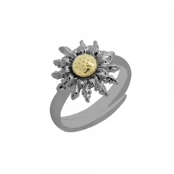 Anillo Rutenio Bicolor Ajustable*Eguzkilore Online