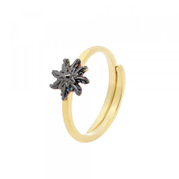Anillo Ghor Plata Dorada y Rutenio*Eguzkilore New