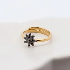 Anillo Ghor Plata Dorada y Rutenio*Eguzkilore New