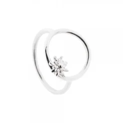 Anillo Luna Llena Plata para Mujer*Eguzkilore Hot