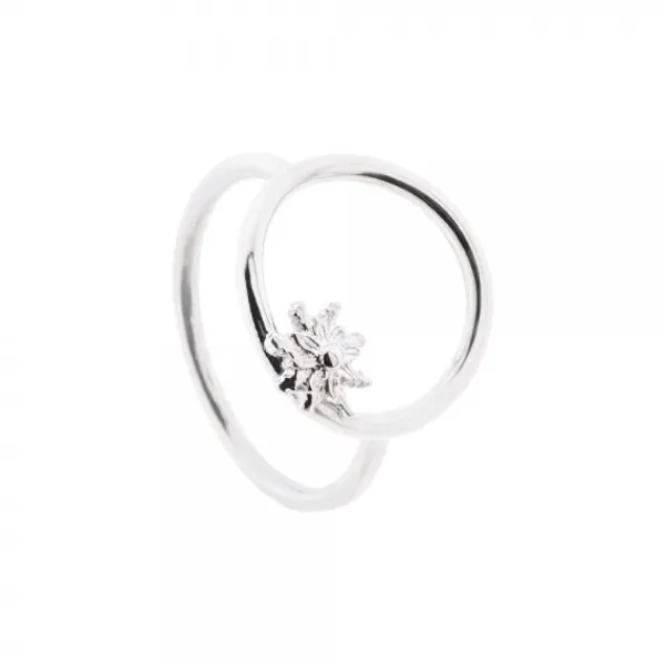 Anillo Luna Llena Plata para Mujer*Eguzkilore Hot