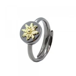 Anillo R-Chic Plata Dorada*Eguzkilore Hot