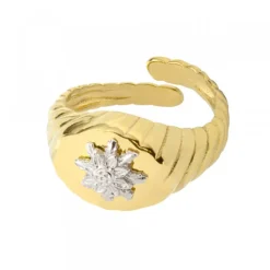 Anillo Sello Grecia Plata Dorada*Eguzkilore Discount