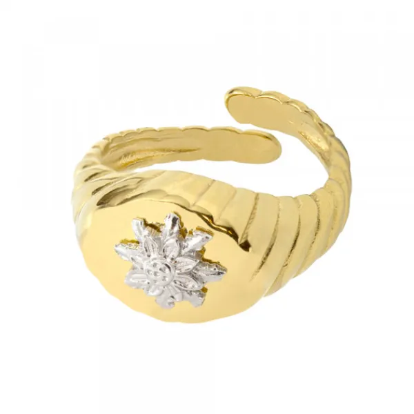 Anillo Sello Grecia Plata Dorada*Eguzkilore Discount