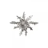 Broche de Plata 38mm*Eguzkilore Clearance