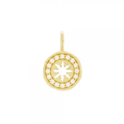 Colgante B1 Plata Dorada y Circonitas*Eguzkilore Discount