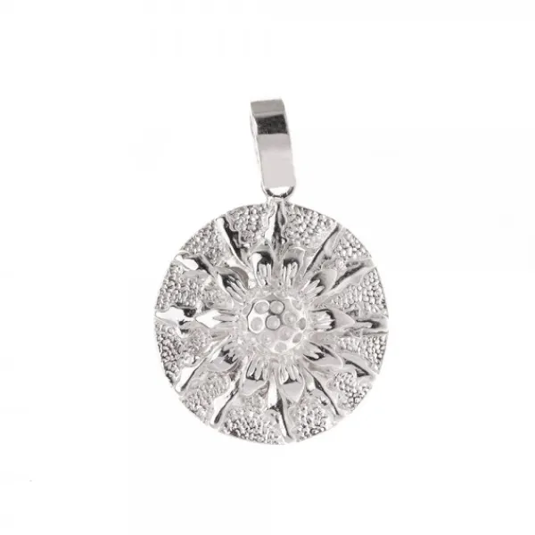 Colgante Chapa Plata 21mm*Eguzkilore Online