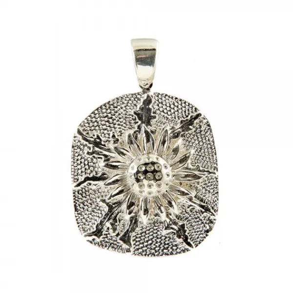 Colgante Chapa Plata 31mm*Eguzkilore Clearance