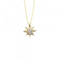 Colgante Oro Bicolor y Brillante 9,5mm*Eguzkilore Clearance