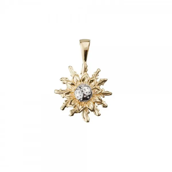 Colgante Oro Bicolor 14mm*Eguzkilore