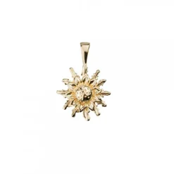 Colgante Oro 14mm*Eguzkilore Hot