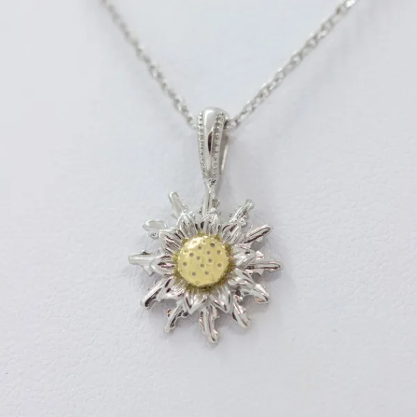 Colgante Plata Bicolor 14mm*Eguzkilore New