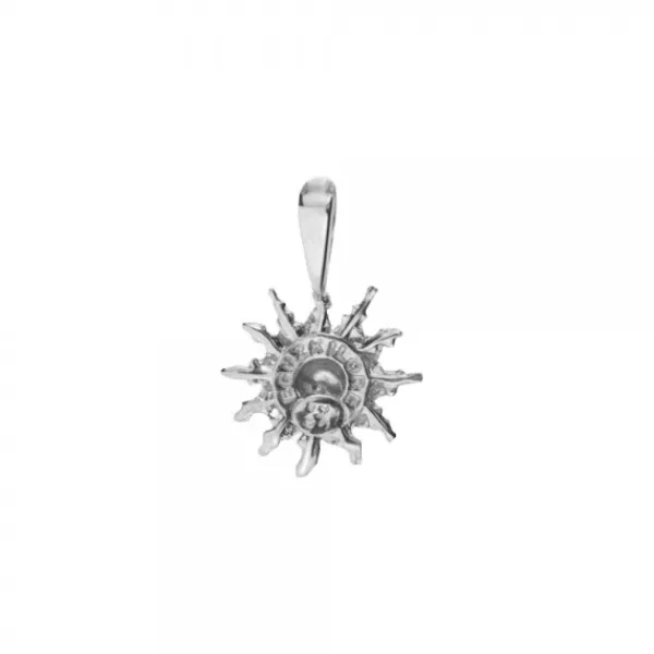 Colgante Plata Bicolor 14mm*Eguzkilore New