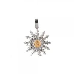 Colgante Plata Bicolor 21mm*Eguzkilore New