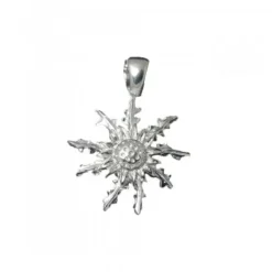 Colgante Plata 29mm*Eguzkilore Best