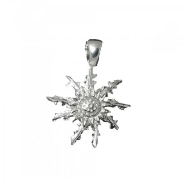 Colgante Plata 29mm*Eguzkilore Best