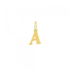 Colgante Inicial Lámina Oro 18kt.*Eguzkilore