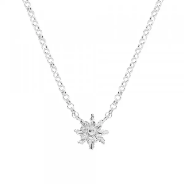 Gargantilla Plata 8mm*Eguzkilore Outlet