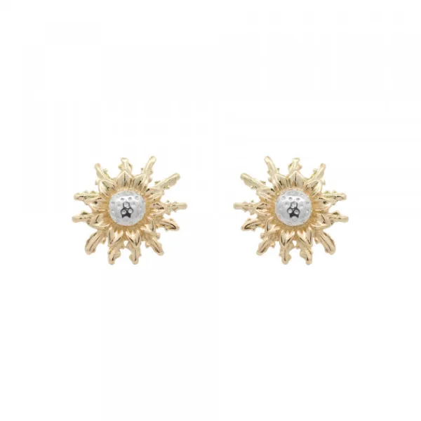 Pendientes Oro Bicolor 14mm*Eguzkilore Clearance