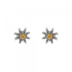 Pendientes Plata Envejecida Dorada y Circonita 12mm*Eguzkilore