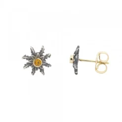 Pendientes Plata Envejecida Dorada y Circonita 12mm*Eguzkilore