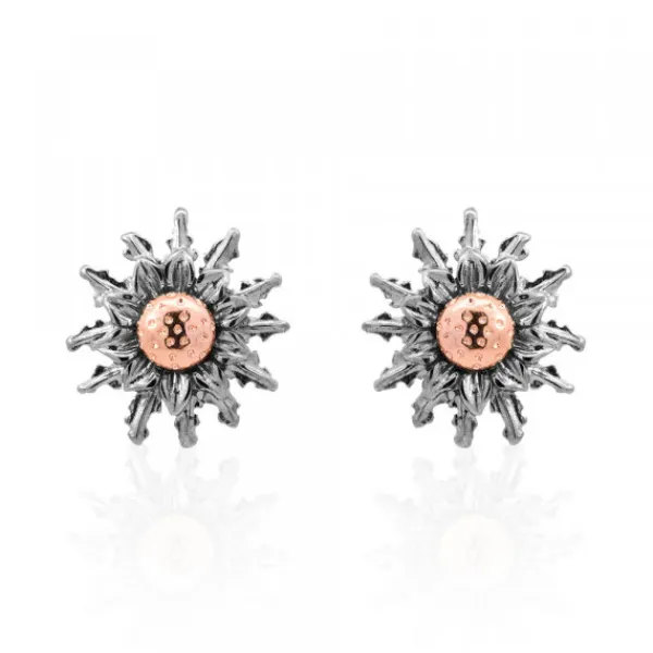 Pendientes Rutenio y Rosa 14mm*Eguzkilore Outlet
