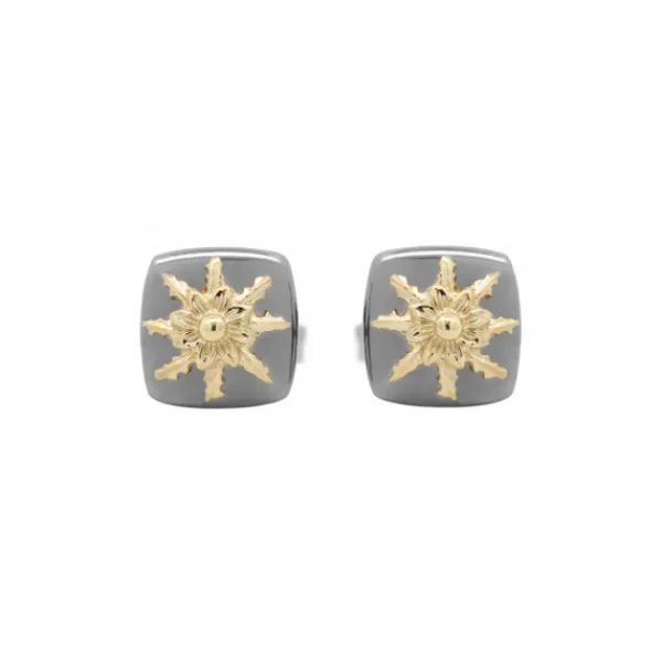 Pendientes Q2 Plata Negra y Dorado*Eguzkilore Hot